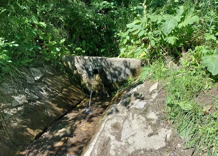 Sopatka
