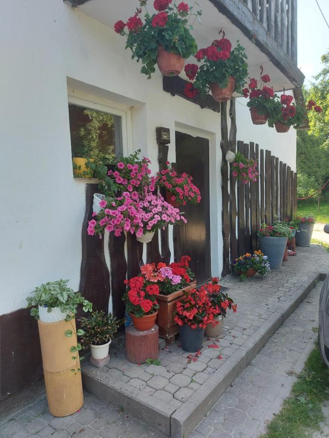 Homestay Sopatka Lutowiska
