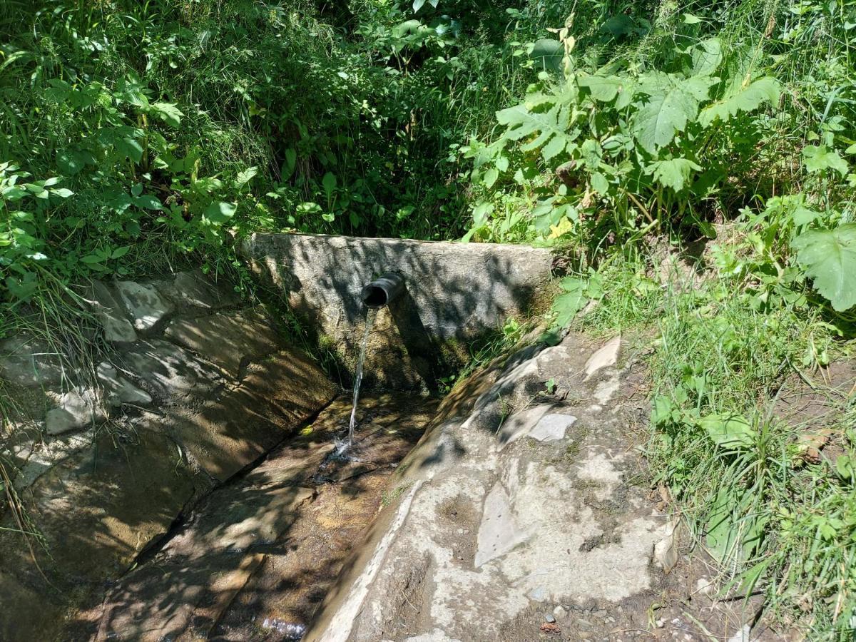 Sopatka
